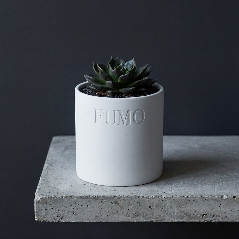 FUMO matte ceramic vessel repurposed as a small planter