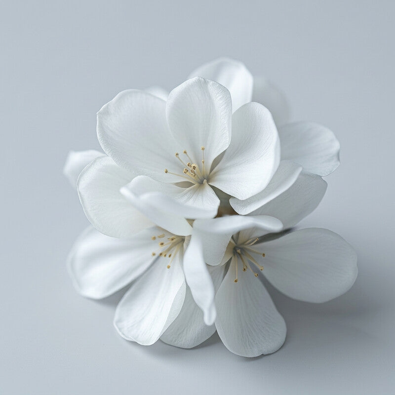 FUMO ECHO scent ingredient: Orange Blossom
